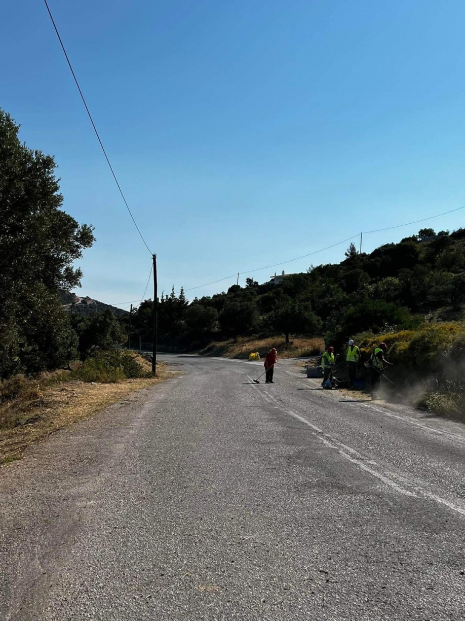 Δήμος Σαρωνικού: Συνεχίζονται οι εργασίες για τον καθαρισμό Δάσους Κουβαρά