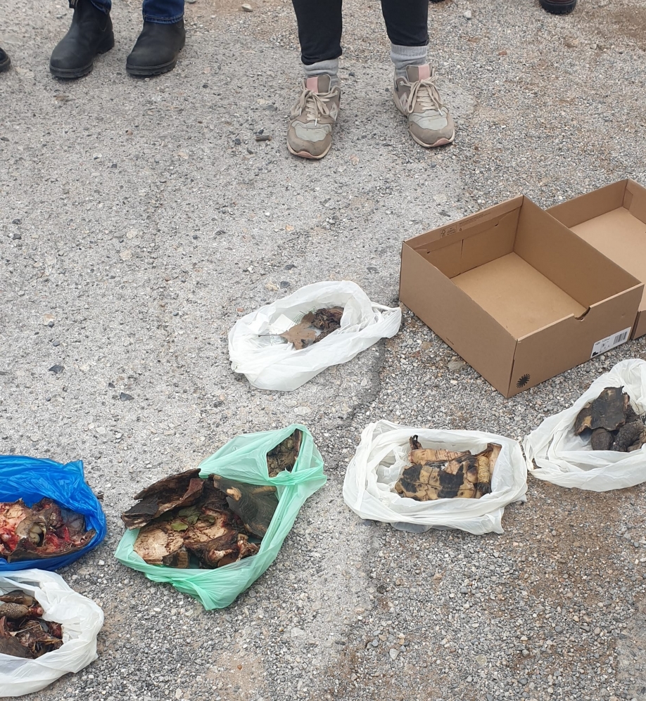 &Sigma;&upsilon;&nu;έ&nu;&omicron;&chi;&omicron;&iota; &omicron; &kappa;. &Alpha;&mu;&pi;&alpha;&tau;&zeta;ό&gamma;&lambda;&omicron;&upsilon; &kappa;&alpha;&iota; &omicron;&iota; &sigma;&upsilon;&nu;&epsilon;&rho;&gamma;ά&tau;&epsilon;&sigmaf; &tau;&omicron;&upsilon; &sigma;&tau;&omicron; &laquo;έ&gamma;&kappa;&lambda;&eta;&mu;&alpha;&raquo; &tau;&omicron;&upsilon; &Delta;ά&sigma;&omicron;&upsilon;&sigmaf; &Sigma;&upsilon;&gamma;&gamma;&rho;&omicron;ύ!