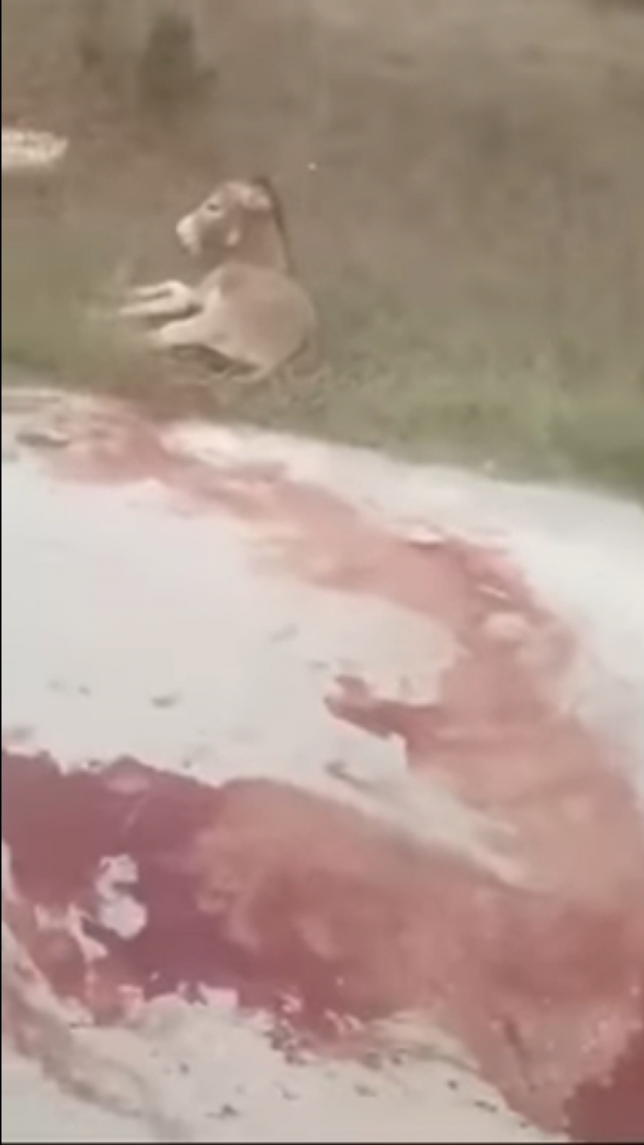 &Pi;&alpha;ύ&theta;&eta;&kappa;&epsilon; &omicron; &Alpha;&nu;&tau;&iota;&delta;ή&mu;&alpha;&rho;&chi;&omicron;&sigmaf; &Zeta;ί&tau;&sigma;&alpha;&sigmaf; &mu;&epsilon;&tau;ά &tau;&eta;&nu; &kappa;&alpha;&kappa;&omicron;&pi;&omicron;ί&eta;&sigma;&eta; &tau;&omicron;&upsilon; &gamma;&alpha;ϊ&delta;ά&rho;&omicron;&upsilon;