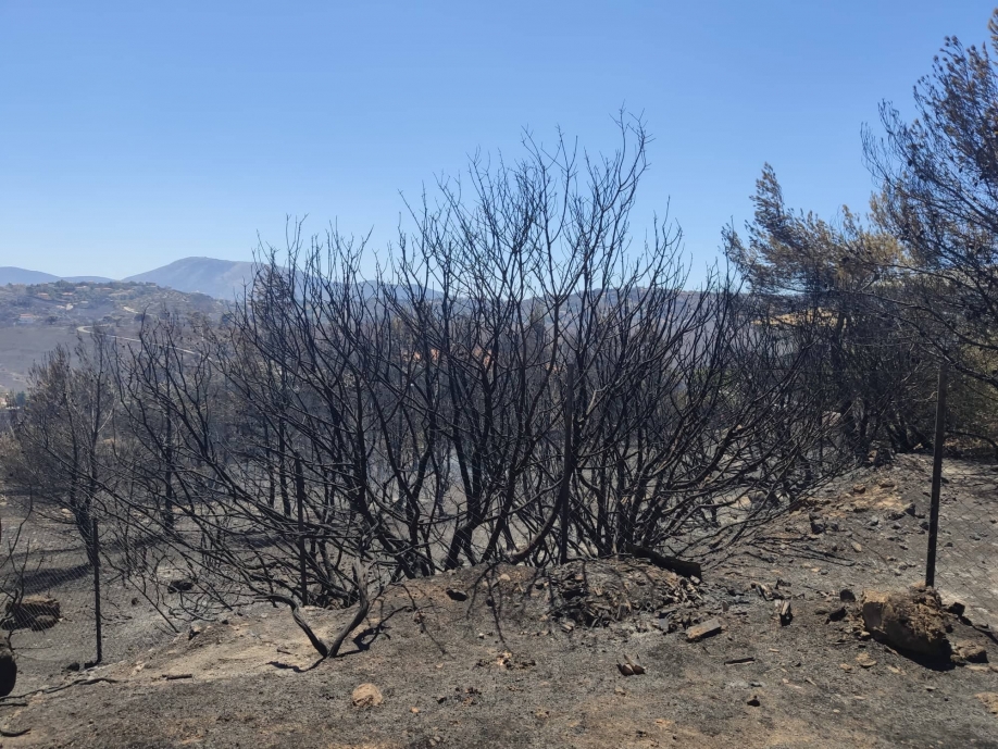 &Delta;ύ&nu;&alpha;&mu;&eta; &Alpha;&nu;ά&pi;&tau;&upsilon;&xi;&eta;&sigmaf;: &Alpha;&nu;ά&gamma;&kappa;&eta; ά&mu;&epsilon;&sigma;&omega;&nu; &epsilon;&nu;&epsilon;&rho;&gamma;&epsilon;&iota;ώ&nu; &alpha;&nu;&alpha;&kappa;&omicron;ύ&phi;&iota;&sigma;&eta;&sigmaf; &pi;&upsilon;&rho;ό&pi;&lambda;&eta;&kappa;&tau;&omega;&nu;