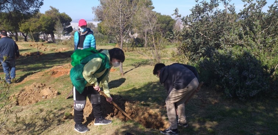 Δενδροφύτευση στο Δάσος Θεόκλητου από μαθητές του 2ου και 3ου Γυμνασίου Βριλησσίων