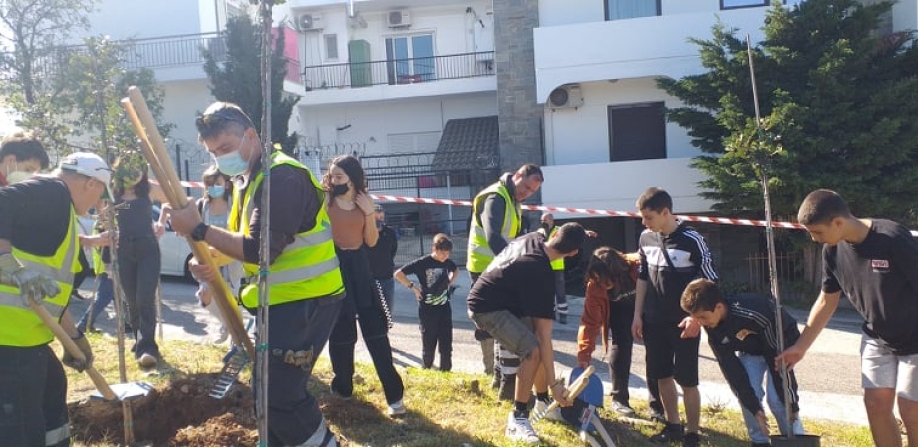 Δενδροφύτευση στο Δάσος Θεόκλητου από μαθητές του 2ου και 3ου Γυμνασίου Βριλησσίων