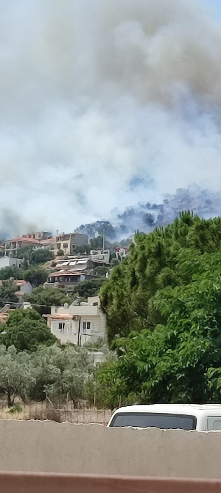 Φωτιά στη Λούτσα κοντά σε σπίτια (video)