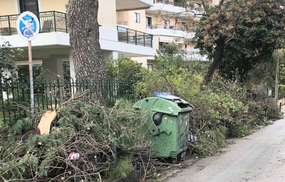 Γ. Σταθόπουλος: Είναι σκάνδαλο τα 620.000 ευρώ για τα κλαδιά!