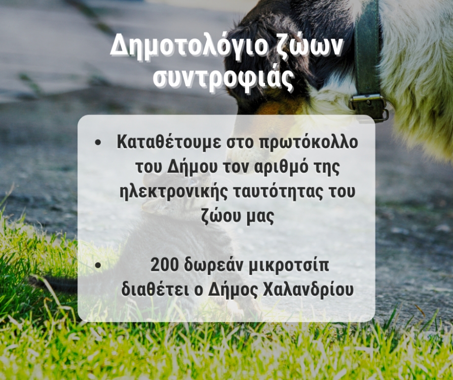 Δημοτολόγιο για τα ζώα συντροφιάς δημιουργεί ο Δήμος Χαλανδρίου