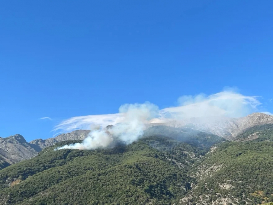 Φωτογραφία από Πυρκαγιά Ενημέρωση