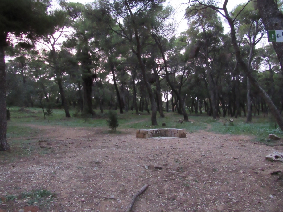 &Mu;. &Delta;&iota;&alpha;&kappa;&omicron;&lambda;&iota;&omicron;ύ: &Alpha;ί&tau;&eta;&mu;&alpha; &gamma;&iota;&alpha; &pi;&rho;&omicron; &eta;&mu;&epsilon;&rho;&eta;&sigma;ί&alpha;&sigmaf; &sigma;&upsilon;&zeta;ή&tau;&eta;&sigma;&eta; &mu;&epsilon; &theta;έ&mu;&alpha; &tau;&omicron; &delta;ά&sigma;&omicron;&sigmaf; &Sigma;&upsilon;&gamma;&gamma;&rho;&omicron;ύ