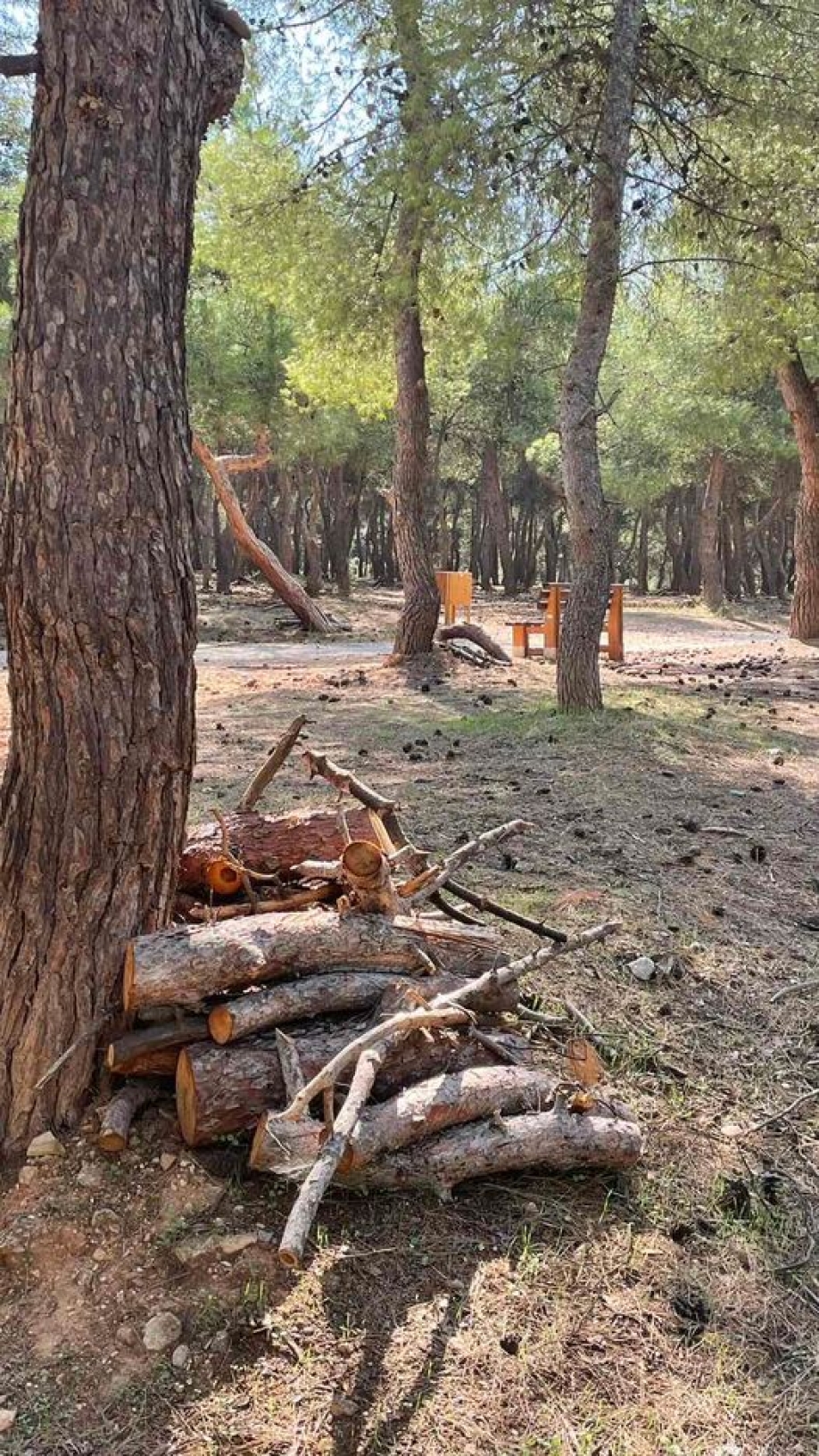 Διανομή ξύλων από τον Δήμο Ζωγράφου και τον ΣΠΑΥ Υμηττού