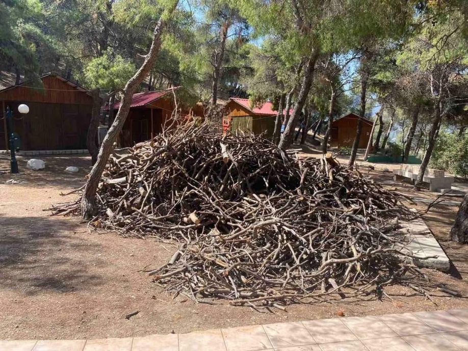 Κατασκήνωση Δήμου Ν.Ιωνίας: Μια κατασκήνωση που λειτουργεί με όρους αυτόματου πιλότου