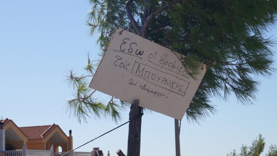 &Delta;ή&mu;&omicron;&sigmaf; &Rho;&alpha;&phi;ή&nu;&alpha;&sigmaf; - &Pi;&iota;&kappa;&epsilon;&rho;&mu;ί&omicron;&upsilon;: &Delta;&iota;&alpha;&mu;&alpha;&rho;&tau;&upsilon;&rho;ί&alpha; &alpha;&gamma;&alpha;&nu;&alpha;&kappa;&tau;&iota;&sigma;&mu;έ&nu;&omicron;&upsilon; &kappa;&alpha;&tau;&omicron;ί&kappa;&omicron;&upsilon; &Delta;&iota;ώ&nu;&eta;&sigmaf; (&phi;&omega;&tau;&omicron;&gamma;&rho;&alpha;&phi;ί&epsilon;&sigmaf;)