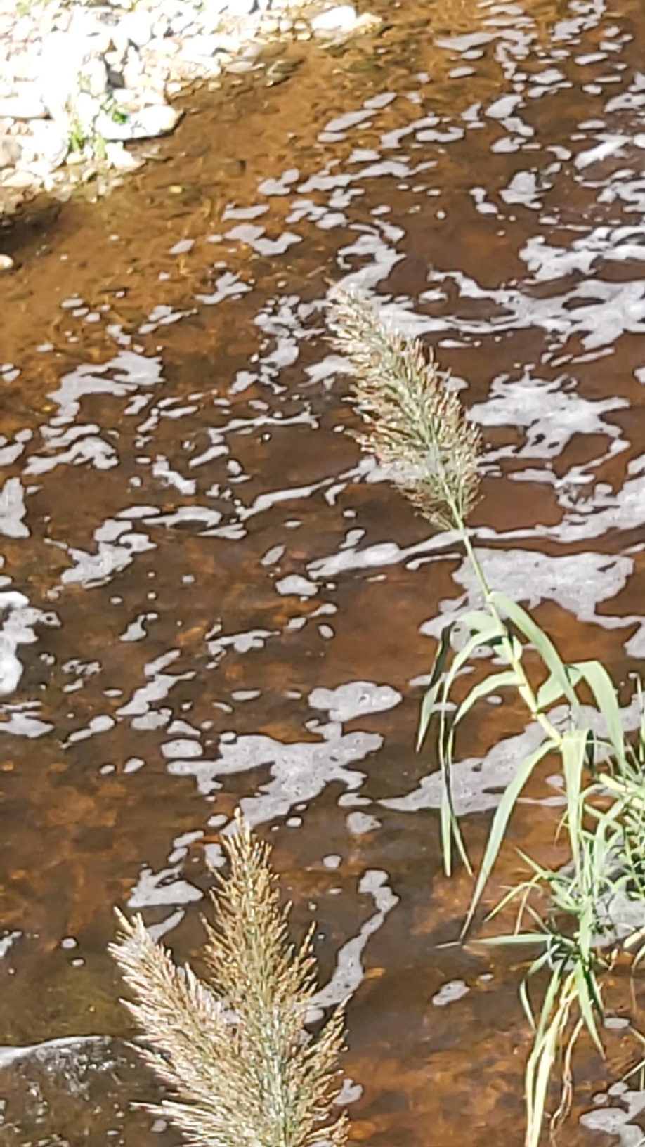&Epsilon;&Kappa;&Tau;&Alpha;&Kappa;&Tau;&Omicron; - &Alpha;&pi;ό&tau;&omicron;&mu;&eta; &alpha;ύ&xi;&eta;&sigma;&eta; &upsilon;&delta;ά&tau;&omega;&nu; &kappa;&alpha;&iota; &alpha;&phi;&rho;&omicron;ί &sigma;&tau;&omicron;&nu; &Kappa;&eta;&phi;&iota;&sigma;ό (&beta;ί&nu;&tau;&epsilon;&omicron;)