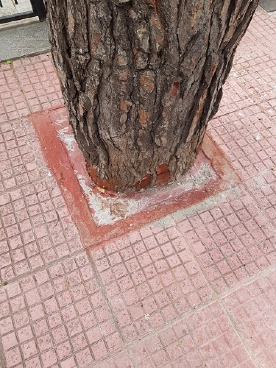 &Tau;&sigma;&iota;&mu;&epsilon;&nu;&tau;ώ&nu;&epsilon;&tau;&alpha;&iota; &pi;&epsilon;ύ&kappa;&omicron; &sigma;&epsilon; &pi;&epsilon;&zeta;&omicron;&delta;&rho;ό&mu;&iota;&omicron;!