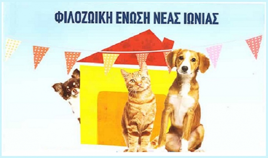 &Tau;&omicron; &nu;έ&omicron; &Delta;.&Sigma;. &tau;&eta;&sigmaf; &Phi;&iota;&lambda;&omicron;&zeta;&omega;&iota;&kappa;ή&sigmaf; Έ&nu;&omega;&sigma;&eta;&sigmaf; &Nu;έ&alpha;&sigmaf; &Iota;&omega;&nu;ί&alpha;&sigmaf;