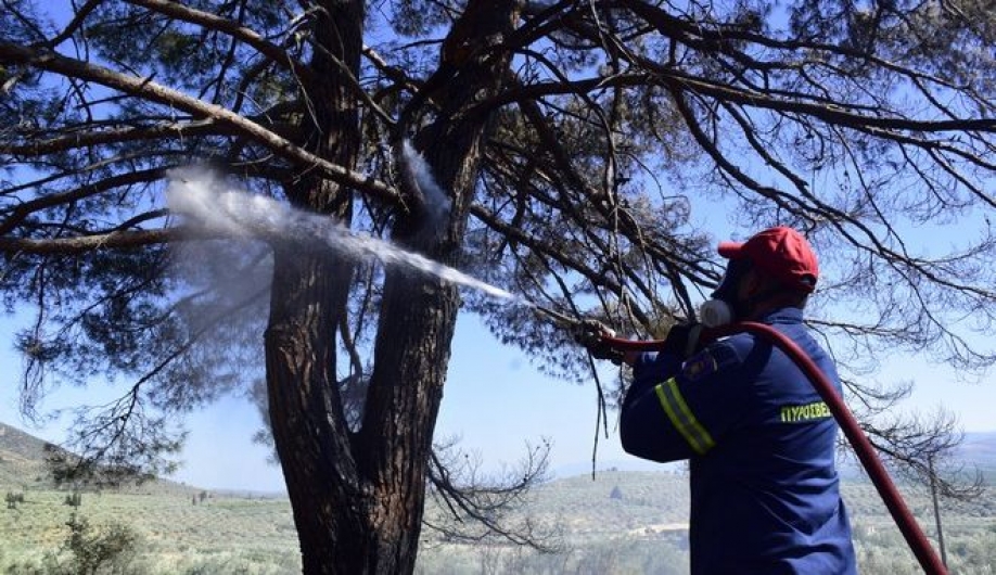 Μέγαρα: Τέθηκε υπό έλεγχο η πυρκαγιά στη θέση Μπότσικα