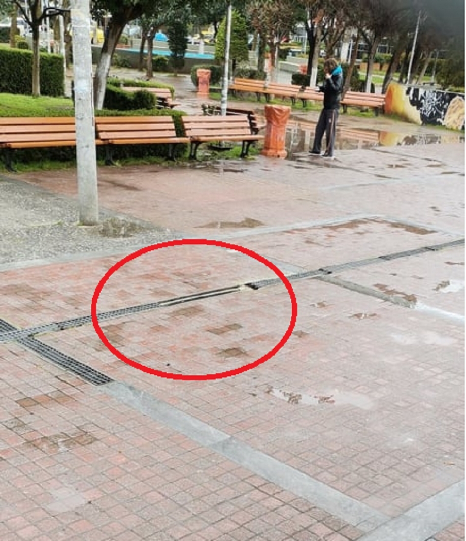 &Lambda;&omicron;ύ&kappa;&iota;&alpha; - &pi;&alpha;&gamma;ί&delta;&epsilon;&sigmaf; &sigma;&tau;&eta;&nu; &pi;&lambda;&alpha;&tau;&epsilon;ί&alpha; &tau;&omicron;&upsilon; &Eta;&rho;&alpha;&kappa;&lambda;&epsilon;ί&omicron;&upsilon;