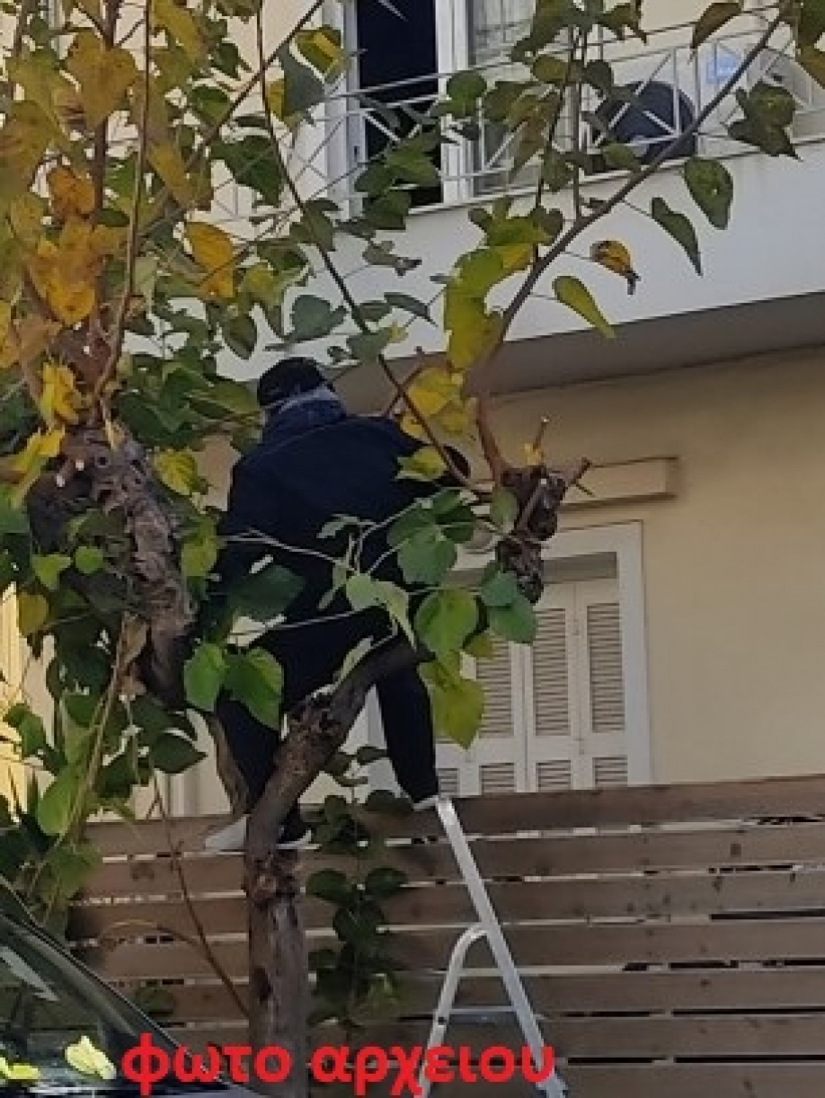 &Alpha;&kappa;ό&mu;&alpha; έ&nu;&alpha;&sigmaf; &nu;&epsilon;&kappa;&rho;ό&sigmaf; &tau;&eta;&nu; ώ&rho;&alpha; &tau;&eta;&sigmaf; &delta;&omicron;&upsilon;&lambda;&epsilon;&iota;ά&sigmaf;. &Sigma;&tau;&omicron; &Delta;ή&mu;&omicron; &Alpha;&rho;&gamma;&upsilon;&rho;&omicron;ύ&pi;&omicron;&lambda;&eta;&sigmaf; - &Epsilon;&lambda;&lambda;&eta;&nu;&iota;&kappa;&omicron;ύ &alpha;&upsilon;&tau;ή &tau;&eta; &phi;&omicron;&rho;ά