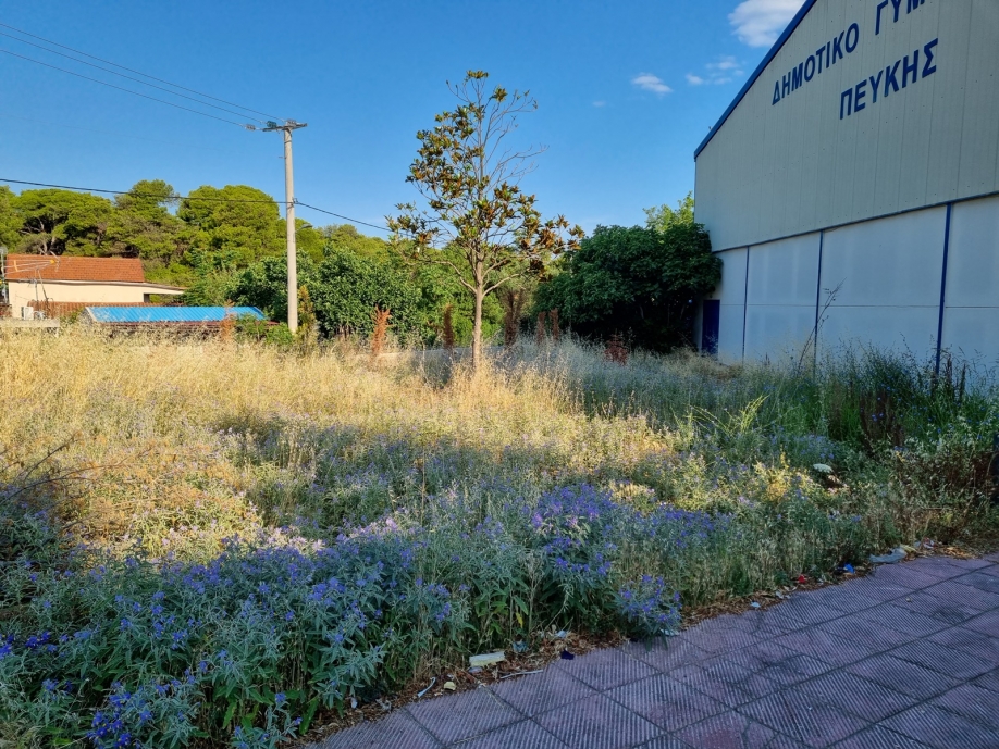 &Nu;ί&kappa;. &Kappa;&omega;&nu;&sigma;&tau;&alpha;&nu;&tau;ί&nu;&omicron;&upsilon;: &Pi;&epsilon;&rho;&iota;&mu;έ&nu;&omicron;&nu;&tau;&alpha;&sigmaf; &tau;&alpha; &Chi;&rho;&iota;&sigma;&tau;&omicron;ύ&gamma;&epsilon;&nu;&nu;&alpha;!
