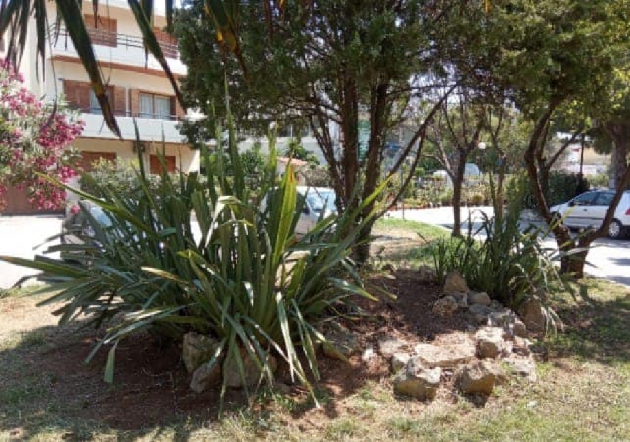 &Pi;&alpha;&rho;&epsilon;&mu;&beta;ά&sigma;&epsilon;&iota;&sigmaf; &kappa;&alpha;&lambda;&lambda;&omega;&pi;&iota;&sigma;&mu;&omicron;ύ &pi;&lambda;&alpha;&tau;&epsilon;&iota;ώ&nu; &alpha;&pi;ό &sigma;&upsilon;&nu;&epsilon;&rho;&gamma;&epsilon;ί&alpha; &tau;&omicron;&upsilon; &Delta;ή&mu;&omicron;&upsilon;