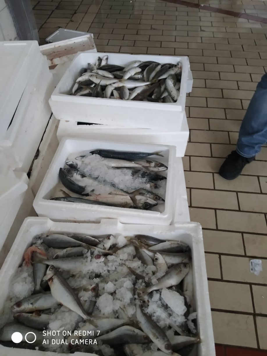 &Delta;&Eta;&Mu;.&Tau;.&Omicron;. &Nu;&Delta; &Nu;.&Phi;. - &Nu;.&Chi;.: &Pi;&alpha;&rho;ά&delta;&omicron;&sigma;&eta; &phi;&rho;έ&sigma;&kappa;&omega;&nu; &psi;&alpha;&rho;&iota;ώ&nu; &sigma;&epsilon; &epsilon;&nu;&omicron;&rho;ί&epsilon;&sigmaf; &tau;&eta;&sigmaf; &Nu;.&Phi;&iota;&lambda;&alpha;&delta;έ&lambda;&phi;&epsilon;&iota;&alpha;&sigmaf;