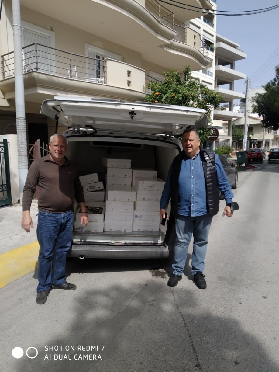 &Delta;&Eta;&Mu;.&Tau;.&Omicron;. &Nu;&Delta; &Nu;.&Phi;. - &Nu;.&Chi;.: &Pi;&alpha;&rho;ά&delta;&omicron;&sigma;&eta; &phi;&rho;έ&sigma;&kappa;&omega;&nu; &psi;&alpha;&rho;&iota;ώ&nu; &sigma;&epsilon; &epsilon;&nu;&omicron;&rho;ί&epsilon;&sigmaf; &tau;&eta;&sigmaf; &Nu;.&Phi;&iota;&lambda;&alpha;&delta;έ&lambda;&phi;&epsilon;&iota;&alpha;&sigmaf;