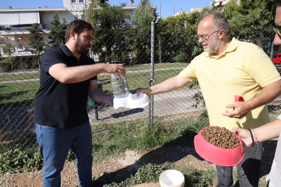 Ηράκλειο Μαζί: Τοποθέτηση δοχείων με τροφή και νερό για τα αδέσποτα της πόλης