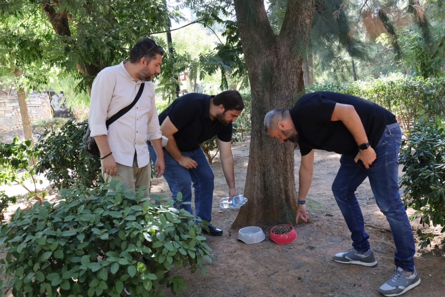 Ηράκλειο Μαζί: Τοποθέτηση δοχείων με τροφή και νερό για τα αδέσποτα της πόλης