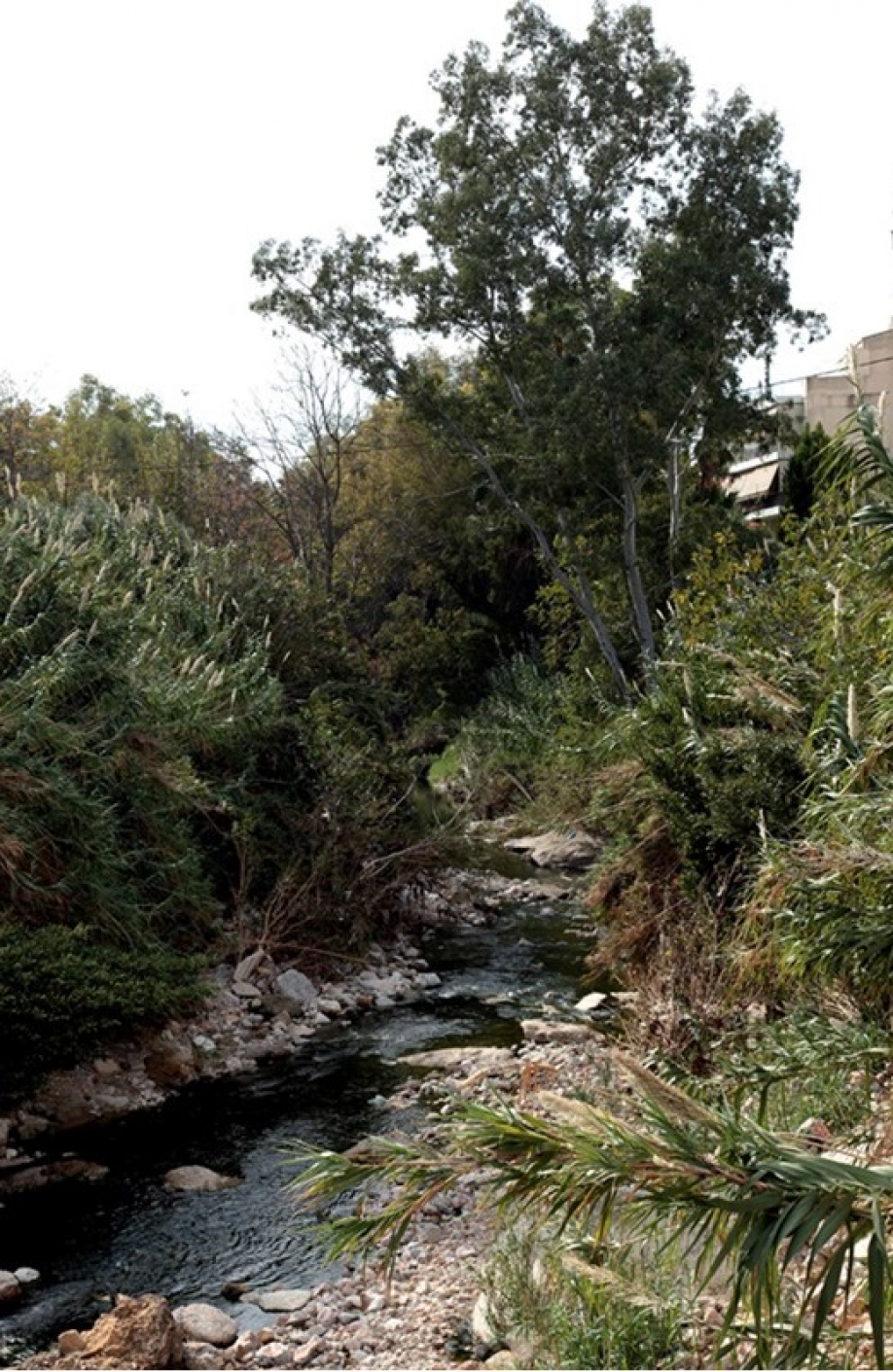 Στον Ποδονίφτη, την Κυριακή 09.10 καλεί η Δύναμη Πολιτών