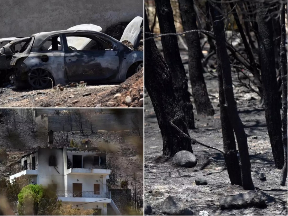 Ψήφισμα του Δημοτικού Συμβουλίου Χαλανδρίου για τη φωτιά στην Πεντέλη