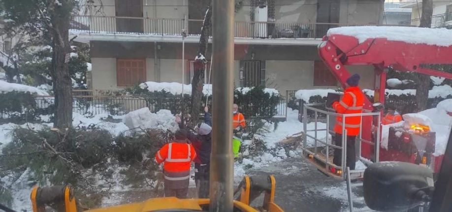 &Epsilon;&nu;&eta;&mu;έ&rho;&omega;&sigma;&eta; &gamma;&iota;&alpha; &tau;&iota;&sigmaf; &delta;&rho;ά&sigma;&epsilon;&iota;&sigmaf; &tau;&eta;&sigmaf; &Pi;&omicron;&lambda;&iota;&tau;&iota;&kappa;ή&sigmaf; &Pi;&rho;&omicron;&sigma;&tau;&alpha;&sigma;ί&alpha;&sigmaf; &tau;&omicron;&upsilon; &Delta;ή&mu;&omicron;&upsilon; &Chi;&alpha;&lambda;&alpha;&nu;&delta;&rho;ί&omicron;&upsilon;