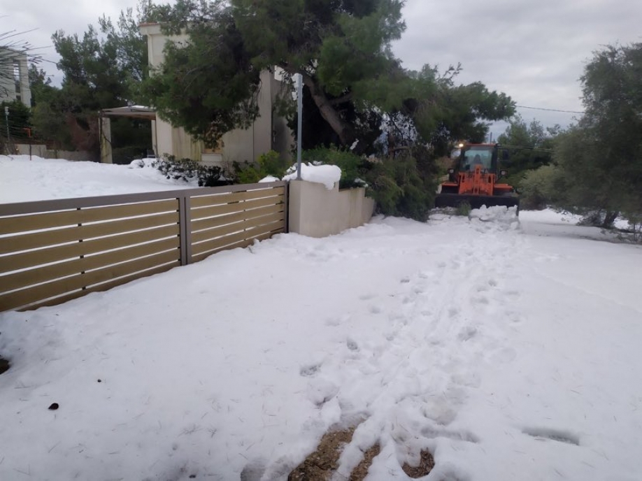 &Omicron; &Delta;ή&mu;&omicron;&sigmaf; &Chi;&alpha;&lambda;&alpha;&nu;&delta;&rho;ί&omicron;&upsilon; &gamma;&iota;&alpha; &tau;&eta; &delta;&iota;&alpha;&chi;&epsilon;ί&rho;&iota;&sigma;&eta; &tau;&eta;&sigmaf; &kappa;&alpha;&kappa;&omicron;&kappa;&alpha;&iota;&rho;ί&alpha;&sigmaf; "&Epsilon;&lambda;&pi;ί&sigmaf;"