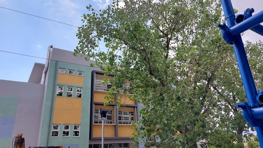 &Alpha;&upsilon;&tau;&omicron;&psi;ί&alpha; &sigma;&tau;&omicron; 3&omicron; &Gamma;&upsilon;&mu;&nu;ά&sigma;&iota;&omicron; &kappa;&alpha;&iota; 3&omicron; &Lambda;ύ&kappa;&epsilon;&iota;&omicron; &alpha;&pi;ό &tau;&omicron;&nu; &Gamma;. &Beta;&omicron;ύ&rho;&omicron;