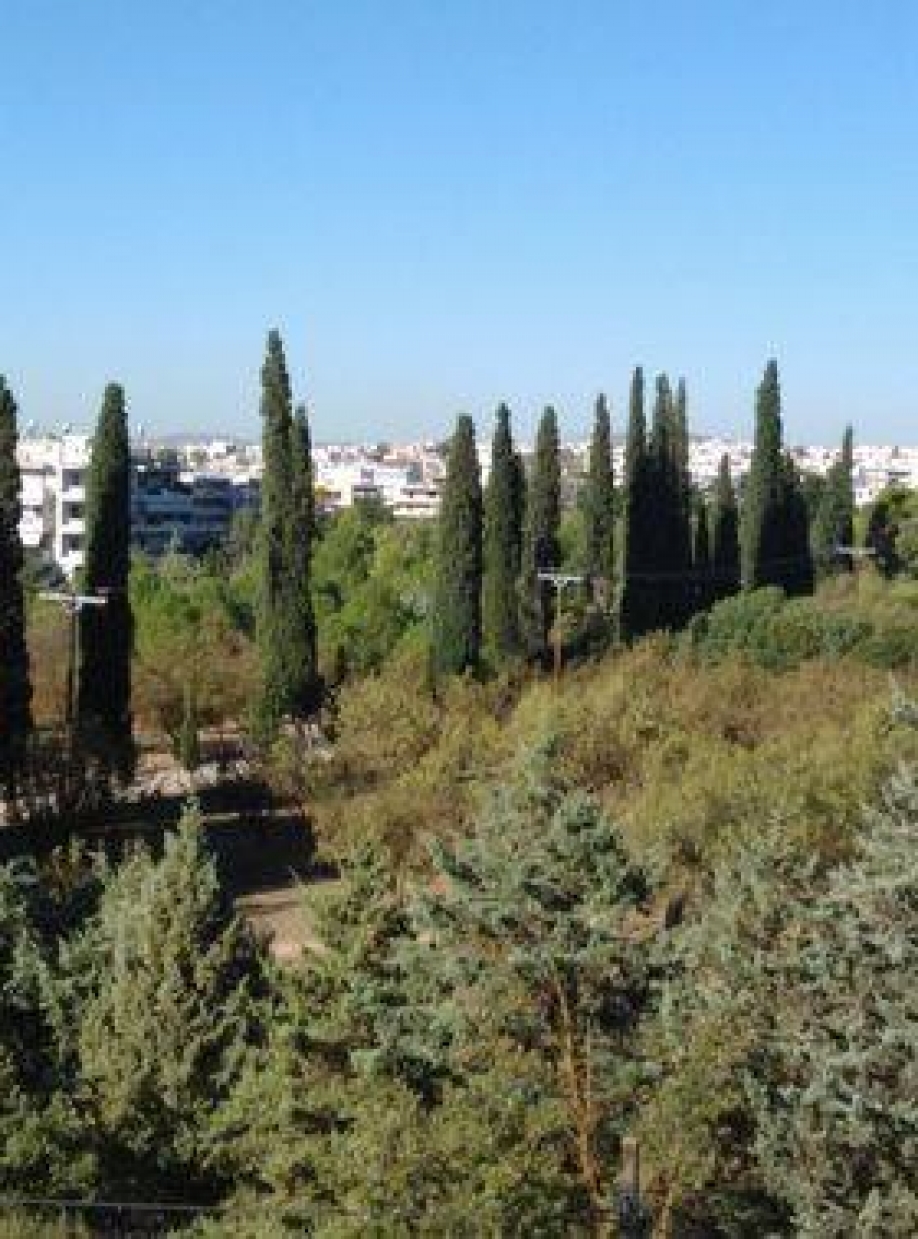 &Pi;&alpha;&rho;έ&mu;&beta;&alpha;&sigma;&eta; &mu;&epsilon;&lambda;ώ&nu; &tau;&omicron;&upsilon; &sigma;&omega;&mu;&alpha;&tau;&epsilon;ί&omicron;&upsilon; "&Tau;&omicron; &Delta;ά&sigma;&omicron;&sigmaf; &Sigma;&upsilon;&gamma;&gamma;&rho;&omicron;ύ &alpha;&nu;ή&kappa;&epsilon;&iota; &sigma;&tau;&omicron;&upsilon;&sigmaf; &pi;&omicron;&lambda;ί&tau;&epsilon;&sigmaf;" &sigma;&tau;&eta;&nu; &epsilon;&pi;ί&sigma;&kappa;&epsilon;&psi;&eta; &tau;&omicron;&upsilon; &Upsilon;&pi;&omicron;&upsilon;&rho;&gamma;&omicron;ύ &Gamma;. &Gamma;&epsilon;&omega;&rho;&gamma;&alpha;&nu;&tau;ά &sigma;&tau;&omicron; &Delta;ά&sigma;&omicron;&sigmaf;