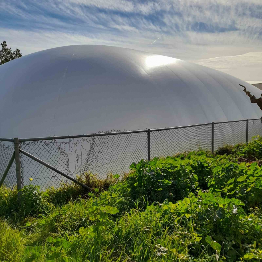 &Gamma;&iota;&alpha; &tau;&eta;&nu; &Kappa;&alpha;&nu;&alpha;&pi;ί&tau;&sigma;&alpha; &omicron;&delta;&epsilon;ύ&epsilon;&iota; &tau;&omicron; &mu;&pi;&alpha;&lambda;ό&nu;&iota;