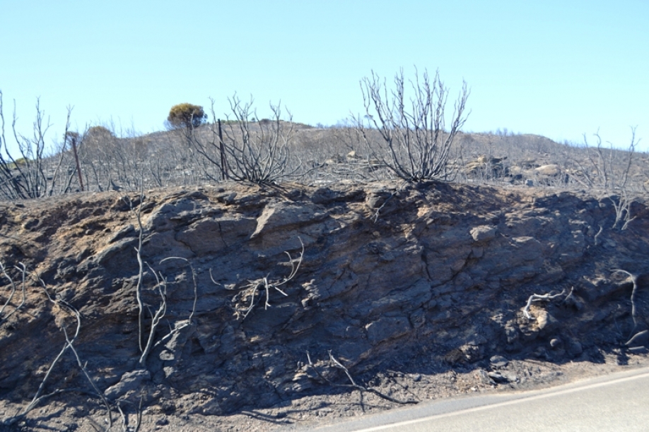 &Epsilon;&pi;ί&sigma;&kappa;&epsilon;&psi;&eta; &tau;&omicron;&upsilon; &kappa;&lambda;&iota;&mu;&alpha;&kappa;ί&omicron;&upsilon; &tau;&omicron;&upsilon; &Sigma;&Upsilon;&Rho;&Iota;&Zeta;&Alpha; &Pi;&Sigma; &mu;&epsilon; &epsilon;&pi;&iota;&kappa;&epsilon;&phi;&alpha;&lambda;ή&sigmaf; &tau;&omicron;&upsilon;&sigmaf; &beta;&omicron;&upsilon;&lambda;&epsilon;&upsilon;&tau;έ&sigmaf; &Pi;ά&nu;&omicron; &Sigma;&kappa;&omicron;&upsilon;&rho;&lambda;έ&tau;&eta; &kappa;&alpha;&iota; &Gamma;&iota;ώ&rho;&gamma;&omicron; &Kappa;&alpha;&tau;&rho;&omicron;ύ&gamma;&kappa;&alpha;&lambda;&omicron; &sigma;&tau;&eta;&nu; &pi;&upsilon;&rho;ό&pi;&lambda;&eta;&kappa;&tau;&eta; &Pi;&epsilon;&nu;&tau;έ&lambda;&eta;