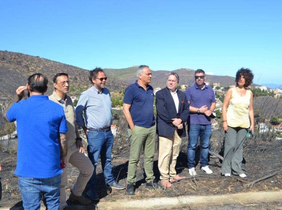 &Epsilon;&pi;ί&sigma;&kappa;&epsilon;&psi;&eta; &tau;&omicron;&upsilon; &kappa;&lambda;&iota;&mu;&alpha;&kappa;ί&omicron;&upsilon; &tau;&omicron;&upsilon; &Sigma;&Upsilon;&Rho;&Iota;&Zeta;&Alpha; &Pi;&Sigma; &mu;&epsilon; &epsilon;&pi;&iota;&kappa;&epsilon;&phi;&alpha;&lambda;ή&sigmaf; &tau;&omicron;&upsilon;&sigmaf; &beta;&omicron;&upsilon;&lambda;&epsilon;&upsilon;&tau;έ&sigmaf; &Pi;ά&nu;&omicron; &Sigma;&kappa;&omicron;&upsilon;&rho;&lambda;έ&tau;&eta; &kappa;&alpha;&iota; &Gamma;&iota;ώ&rho;&gamma;&omicron; &Kappa;&alpha;&tau;&rho;&omicron;ύ&gamma;&kappa;&alpha;&lambda;&omicron; &sigma;&tau;&eta;&nu; &pi;&upsilon;&rho;ό&pi;&lambda;&eta;&kappa;&tau;&eta; &Pi;&epsilon;&nu;&tau;έ&lambda;&eta;