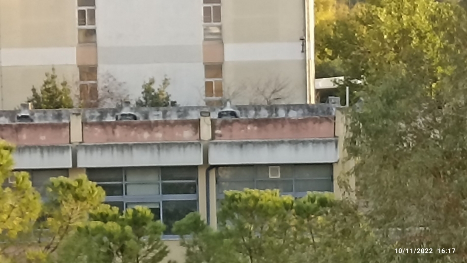 &Lambda;ί&gamma;&omicron; &chi;&rho;ώ&mu;&alpha;, έ&sigma;&tau;&omega; &kappa;&alpha;&iota; &phi;&omicron;ύ&xi;&iota;&alpha;, &delta;&epsilon;&nu; &pi;&epsilon;&rho;ί&sigma;&sigma;&epsilon;&psi;&epsilon;;