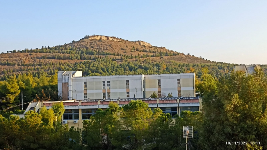 &Lambda;ί&gamma;&omicron; &chi;&rho;ώ&mu;&alpha;, έ&sigma;&tau;&omega; &kappa;&alpha;&iota; &phi;&omicron;ύ&xi;&iota;&alpha;, &delta;&epsilon;&nu; &pi;&epsilon;&rho;ί&sigma;&sigma;&epsilon;&psi;&epsilon;;