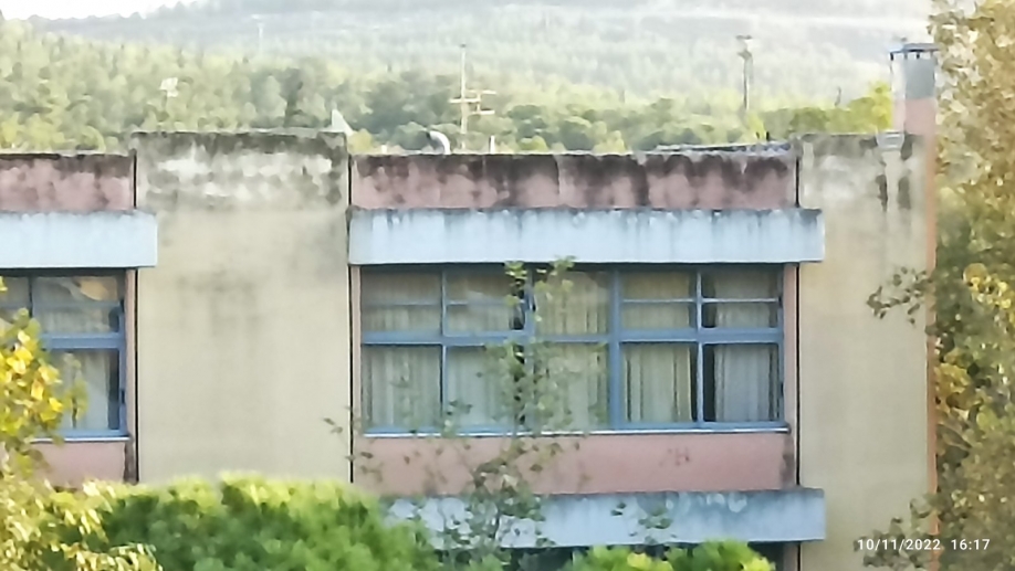 &Lambda;ί&gamma;&omicron; &chi;&rho;ώ&mu;&alpha;, έ&sigma;&tau;&omega; &kappa;&alpha;&iota; &phi;&omicron;ύ&xi;&iota;&alpha;, &delta;&epsilon;&nu; &pi;&epsilon;&rho;ί&sigma;&sigma;&epsilon;&psi;&epsilon;;