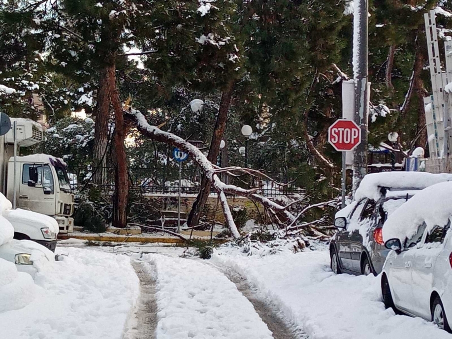 &Kappa;.&Omicron;. &Nu;.&Iota;&omega;&nu;ί&alpha;&sigmaf; &tau;&omicron;&upsilon; &Kappa;&Kappa;&Epsilon;: &Sigma;&tau;&omicron; έ&lambda;&epsilon;&omicron;&sigmaf; &tau;&eta;&sigmaf; &kappa;&alpha;&kappa;&omicron;&kappa;&alpha;&iota;&rho;ί&alpha;&sigmaf; &gamma;&iota;&alpha; &alpha;&kappa;ό&mu;&eta; &mu;ί&alpha; &chi;&rho;&omicron;&nu;&iota;ά &omicron; &lambda;&alpha;ό&sigmaf; &tau;&eta;&sigmaf; &Nu;έ&alpha;&sigmaf; &Iota;&omega;&nu;ί&alpha;&sigmaf;