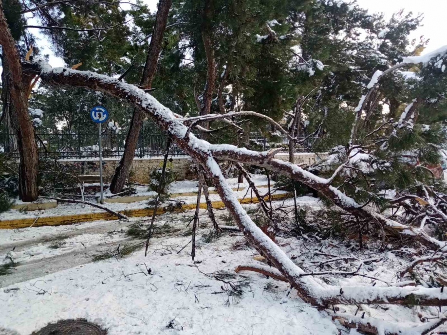 Κ.Ο. Ν.Ιωνίας του ΚΚΕ: Στο έλεος της κακοκαιρίας για ακόμη μία χρονιά ο λαός της Νέας Ιωνίας