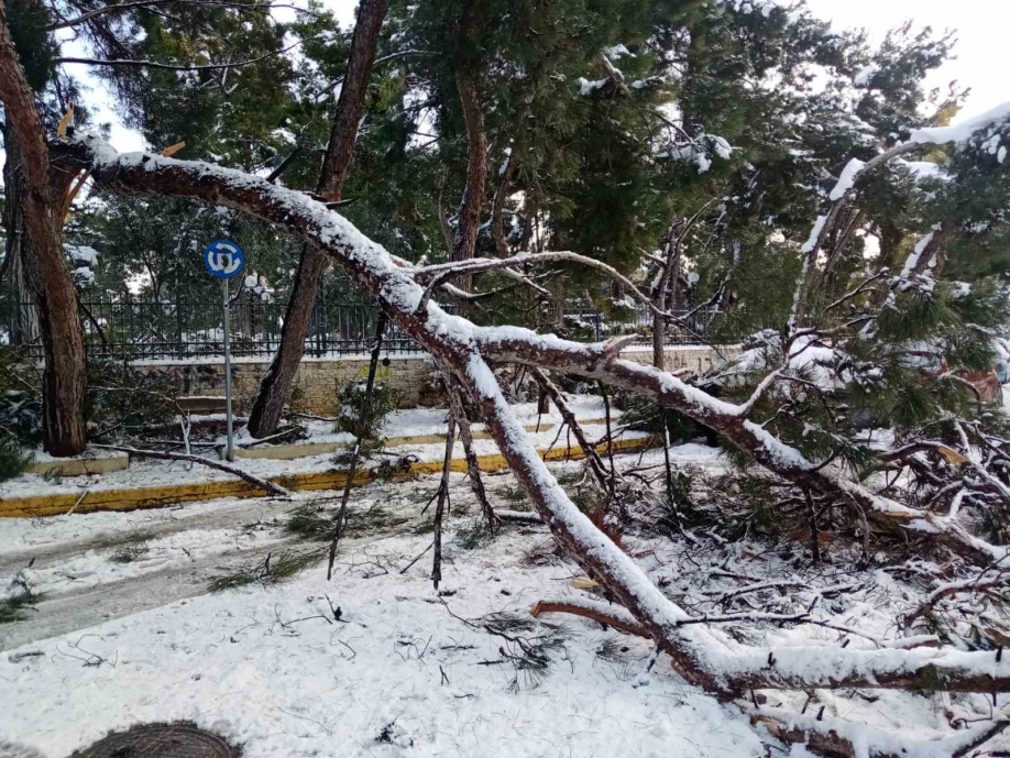 &Kappa;.&Omicron;. &Nu;.&Iota;&omega;&nu;ί&alpha;&sigmaf; &tau;&omicron;&upsilon; &Kappa;&Kappa;&Epsilon;: &Sigma;&tau;&omicron; έ&lambda;&epsilon;&omicron;&sigmaf; &tau;&eta;&sigmaf; &kappa;&alpha;&kappa;&omicron;&kappa;&alpha;&iota;&rho;ί&alpha;&sigmaf; &gamma;&iota;&alpha; &alpha;&kappa;ό&mu;&eta; &mu;ί&alpha; &chi;&rho;&omicron;&nu;&iota;ά &omicron; &lambda;&alpha;ό&sigmaf; &tau;&eta;&sigmaf; &Nu;έ&alpha;&sigmaf; &Iota;&omega;&nu;ί&alpha;&sigmaf;