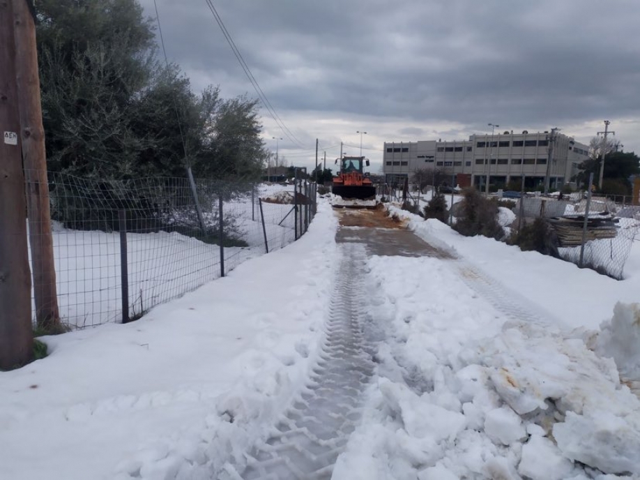 Δήμος Χαλανδρίου: Δικαιολογημένη η αγανάκτηση των πολιτών – Ανακοίνωση για όλα όσα συνέβησαν