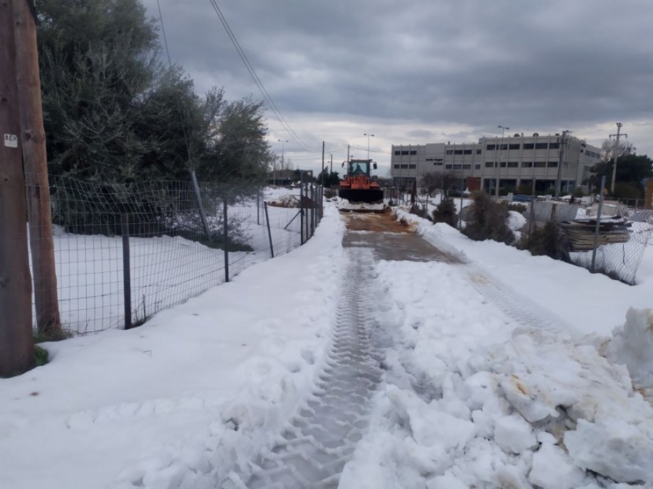 &Delta;ή&mu;&omicron;&sigmaf; &Chi;&alpha;&lambda;&alpha;&nu;&delta;&rho;ί&omicron;&upsilon;: &Delta;&iota;&kappa;&alpha;&iota;&omicron;&lambda;&omicron;&gamma;&eta;&mu;έ&nu;&eta; &eta; &alpha;&gamma;&alpha;&nu;ά&kappa;&tau;&eta;&sigma;&eta; &tau;&omega;&nu; &pi;&omicron;&lambda;&iota;&tau;ώ&nu; &ndash; &Alpha;&nu;&alpha;&kappa;&omicron;ί&nu;&omega;&sigma;&eta; &gamma;&iota;&alpha; ό&lambda;&alpha; ό&sigma;&alpha; &sigma;&upsilon;&nu;έ&beta;&eta;&sigma;&alpha;&nu;