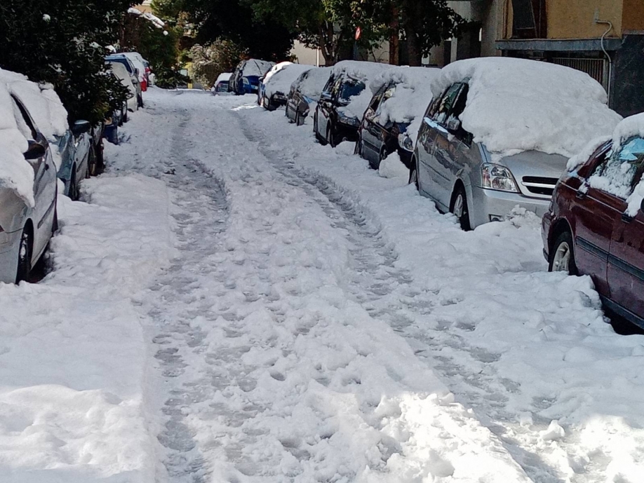 Σύλλογος Γυναικών Νέας Ιωνίας (μέλος ΟΓΕ) για την κακοκαιρία: Παντού εικόνες χάους και καταστροφής