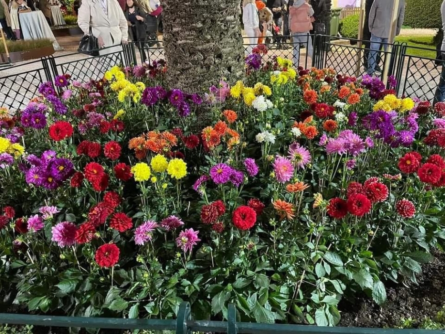 Στα εγκαίνια της 68ης Ανθοκομικής Έκθεσης Κηφισιάς ο Τάσος Μαυρίδης