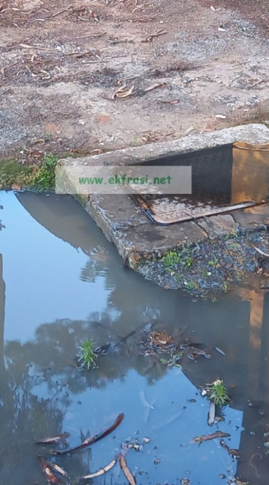 &Eta; &nu;&tau;&rho;&omicron;&pi;ή &tau;&omicron;&upsilon; &Pi;&alpha;&nu;&alpha;&iota;&tau;&omega;&lambda;ί&omicron;&upsilon;, &lambda;έ&nu;&epsilon; &omicron;&iota; &kappa;ά&tau;&omicron;&iota;&kappa;&omicron;&iota;