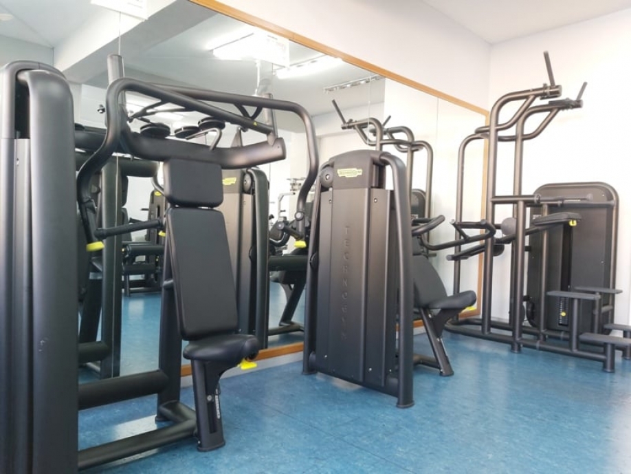 &Alpha;&nu;&tau;&iota;&kappa;&alpha;&tau;ά&sigma;&tau;&alpha;&sigma;&eta; &omicron;&rho;&gamma;ά&nu;&omega;&nu; &gamma;&upsilon;&mu;&nu;&alpha;&sigma;&tau;&iota;&kappa;ή&sigmaf; &sigma;&tau;&omicron; &Delta;&eta;&mu;&omicron;&tau;&iota;&kappa;ό &Gamma;&upsilon;&mu;&nu;&alpha;&sigma;&tau;ή&rho;&iota;&omicron; &Nu;έ&alpha;&sigmaf; &Iota;&omega;&nu;ί&alpha;&sigmaf;