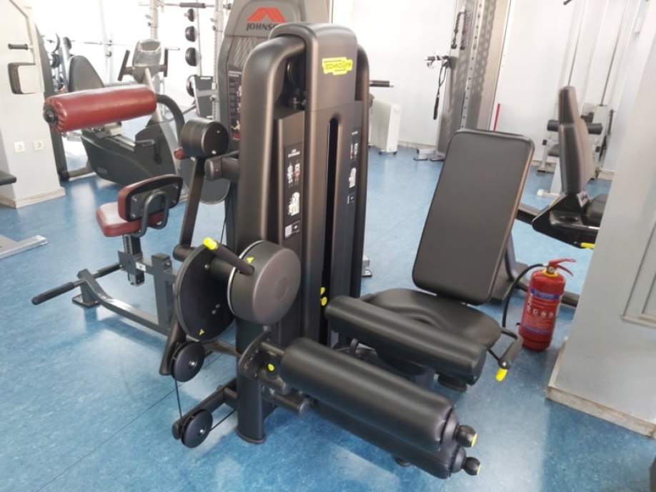 &Alpha;&nu;&tau;&iota;&kappa;&alpha;&tau;ά&sigma;&tau;&alpha;&sigma;&eta; &omicron;&rho;&gamma;ά&nu;&omega;&nu; &gamma;&upsilon;&mu;&nu;&alpha;&sigma;&tau;&iota;&kappa;ή&sigmaf; &sigma;&tau;&omicron; &Delta;&eta;&mu;&omicron;&tau;&iota;&kappa;ό &Gamma;&upsilon;&mu;&nu;&alpha;&sigma;&tau;ή&rho;&iota;&omicron; &Nu;έ&alpha;&sigmaf; &Iota;&omega;&nu;ί&alpha;&sigmaf;