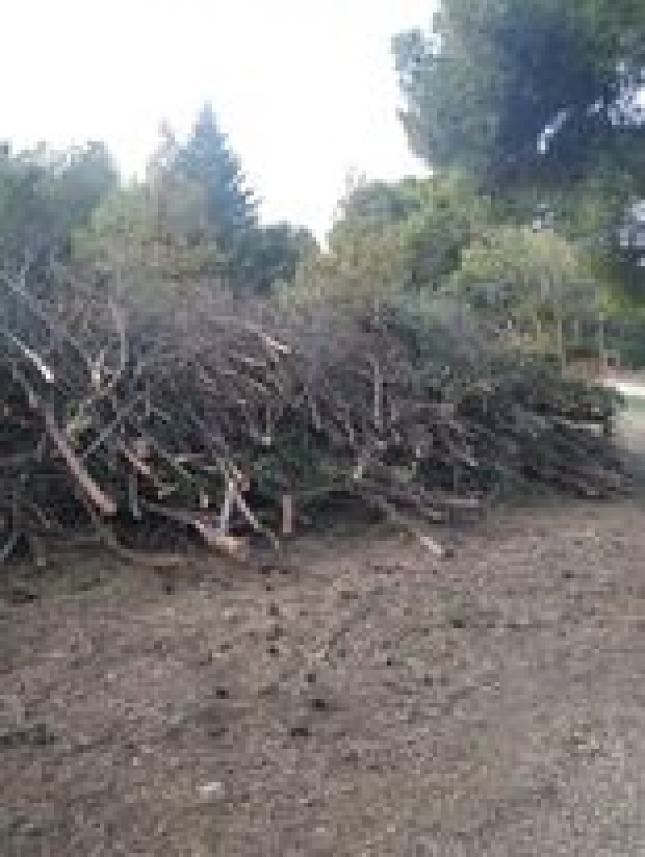 &Alpha;&nu;&tau;&iota;&delta;&rho;&omicron;ύ&nu; &omicron;&iota; &kappa;ά&tau;&omicron;&iota;&kappa;&omicron;&iota; &gamma;&iota;&alpha; &tau;&iota;&sigmaf; &epsilon;&rho;&gamma;&alpha;&sigma;ί&epsilon;&sigmaf; &sigma;&tau;&omicron; &Delta;ά&sigma;&omicron;&sigmaf; &Sigma;&upsilon;&gamma;&gamma;&rho;&omicron;ύ