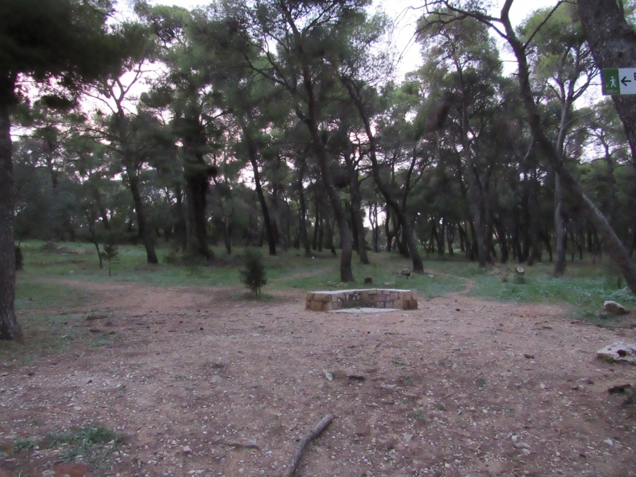 &Alpha;&nu;&tau;&iota;&delta;&rho;&omicron;ύ&nu; &omicron;&iota; &kappa;ά&tau;&omicron;&iota;&kappa;&omicron;&iota; &gamma;&iota;&alpha; &tau;&iota;&sigmaf; &epsilon;&rho;&gamma;&alpha;&sigma;ί&epsilon;&sigmaf; &sigma;&tau;&omicron; &Delta;ά&sigma;&omicron;&sigmaf; &Sigma;&upsilon;&gamma;&gamma;&rho;&omicron;ύ